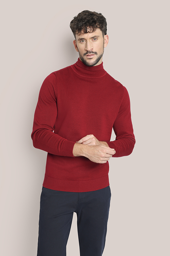 Sueter masculino con cuello alto la colección otoño-invierno Tem Fórmula moda B2B